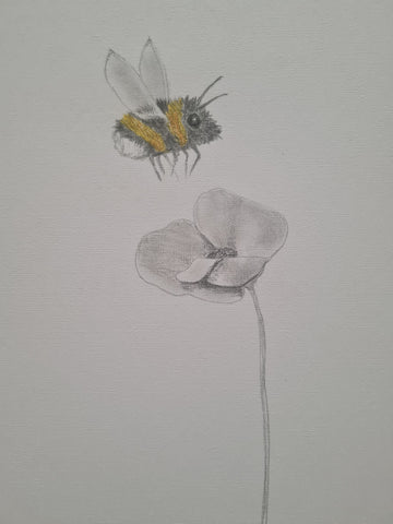 U645 Original Polychromo - 'Poppy bee #2'