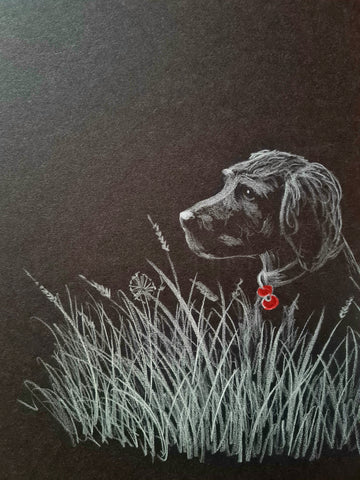 U633 Original Polychromo - 'Poppy Dog #52'