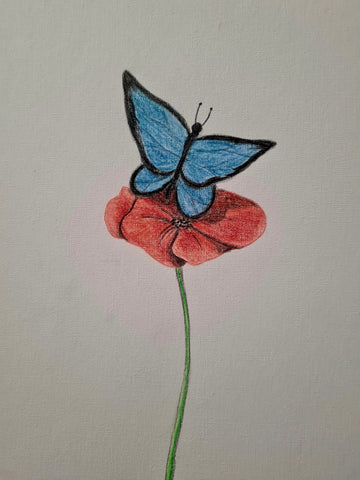 U639 Original Polychromo - 'Butterfly poppy #3'