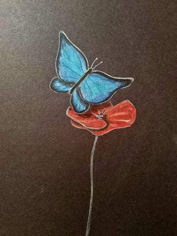 U641 Original Polychromo - 'Butterfly poppy #5'