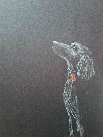 U636 Original Polychromo - 'Poppy Dog 55'