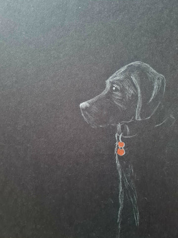 U637 Original Polychromo - 'Poppy Dog 56'
