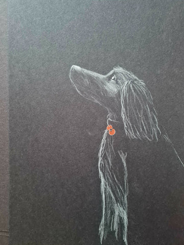 U634 Original Polychromo - 'Poppy Dog 53'