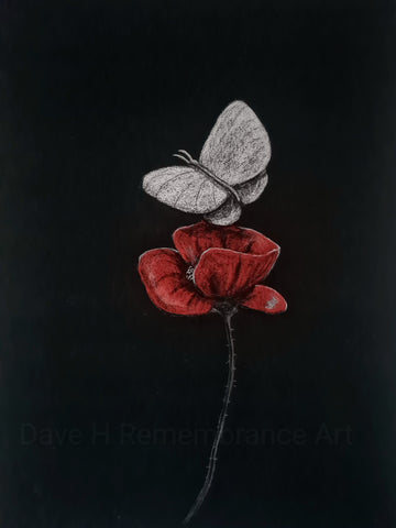 475 Limited Edition Giclée Print - 'white butterfly poppy'