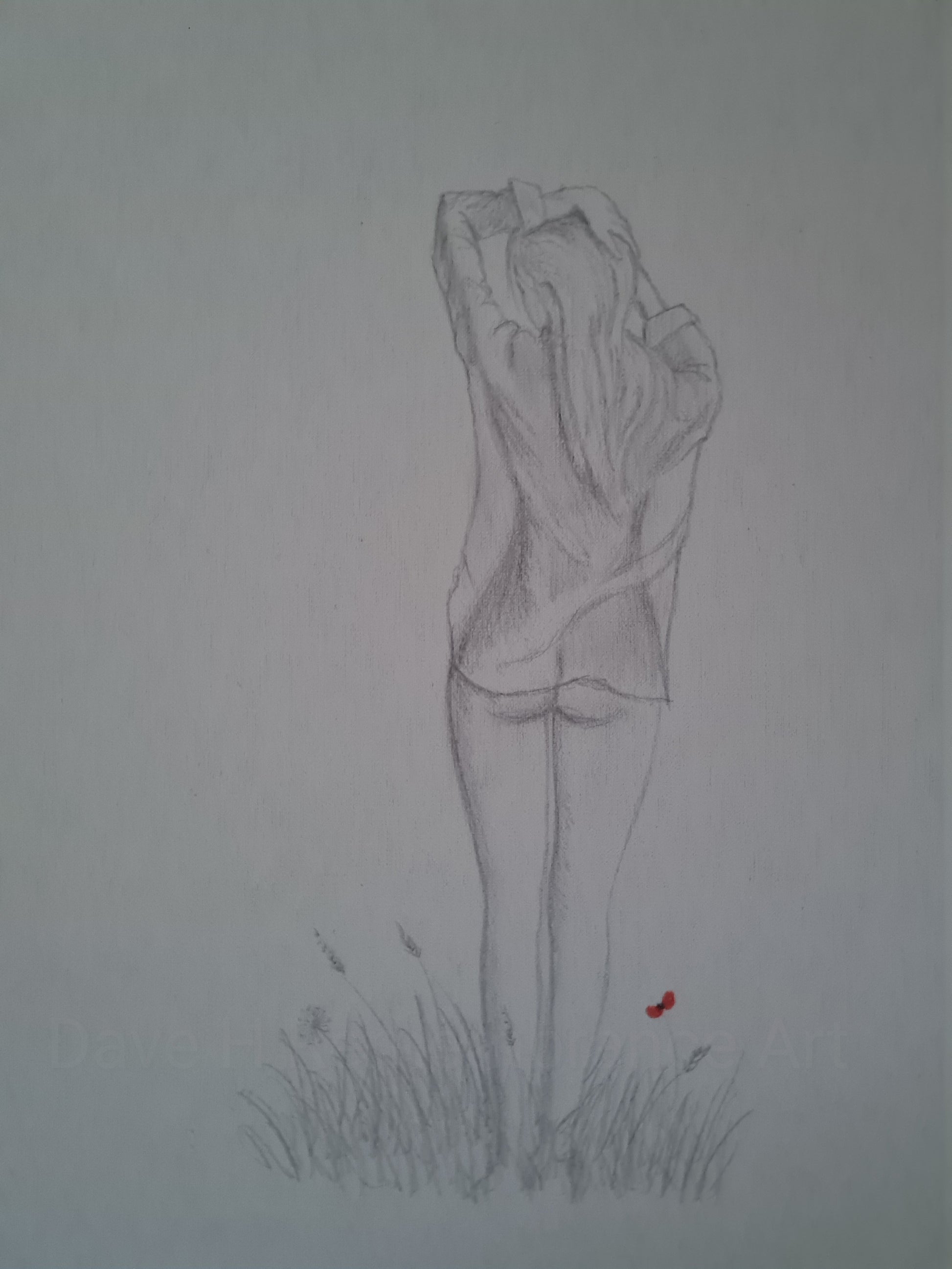 Bare bottom lady art
