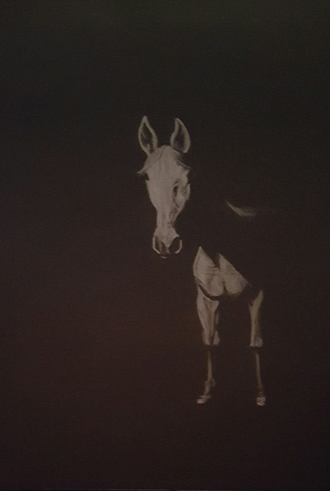 horse drawing