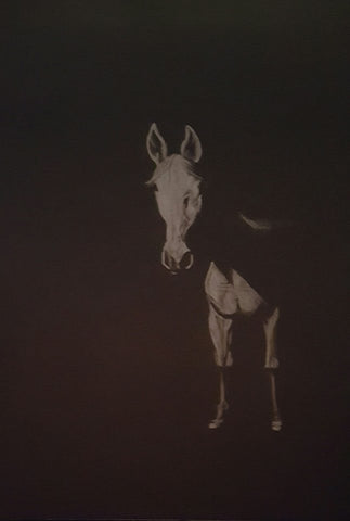 White on Black Polychromo -  'Moonlit horse'