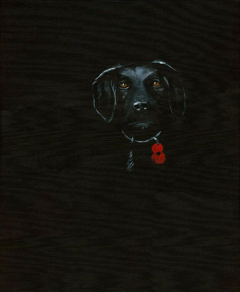 black poppy dog art