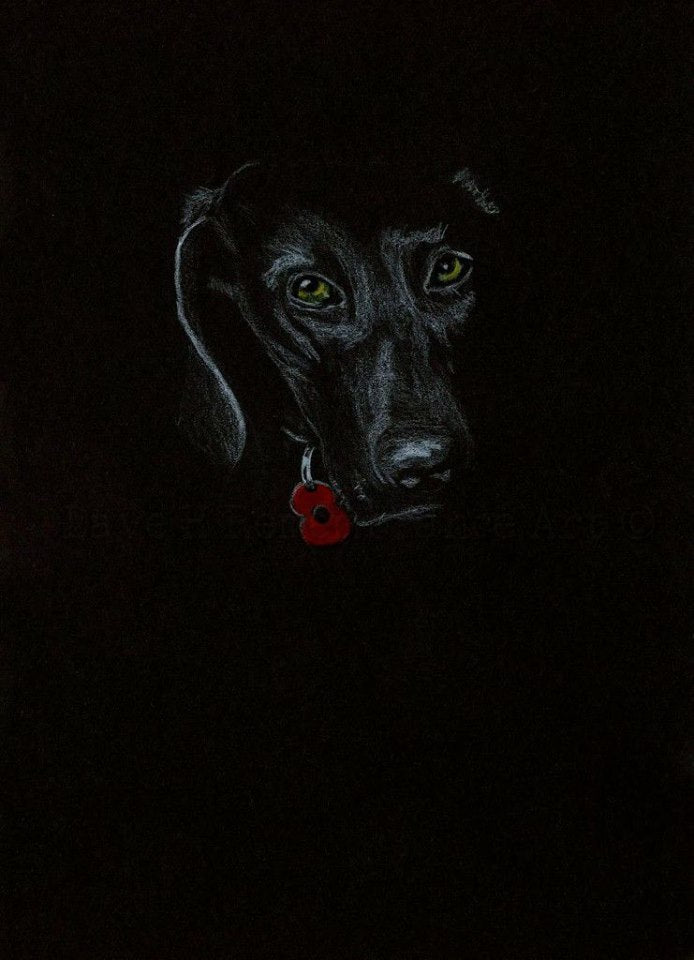black poppy dog art