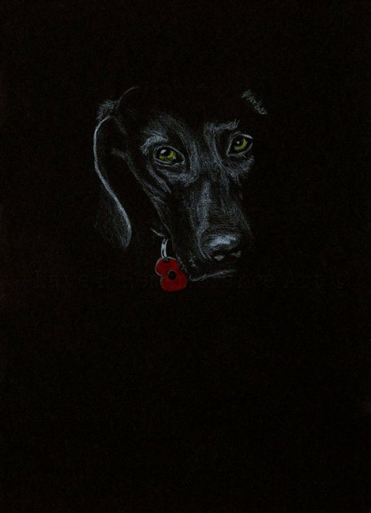 black poppy dog art
