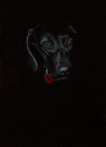 Original White on Black Polychromo 264 -  'Poppy Dog #13'