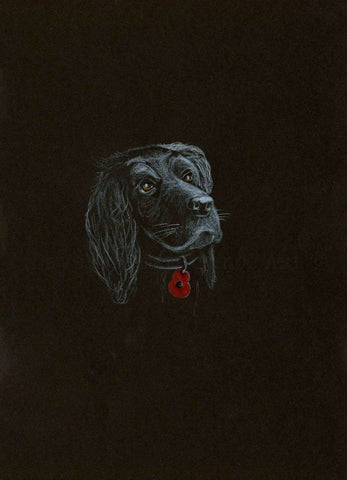 266 Original Polychromo - 'Poppy Dog #11'