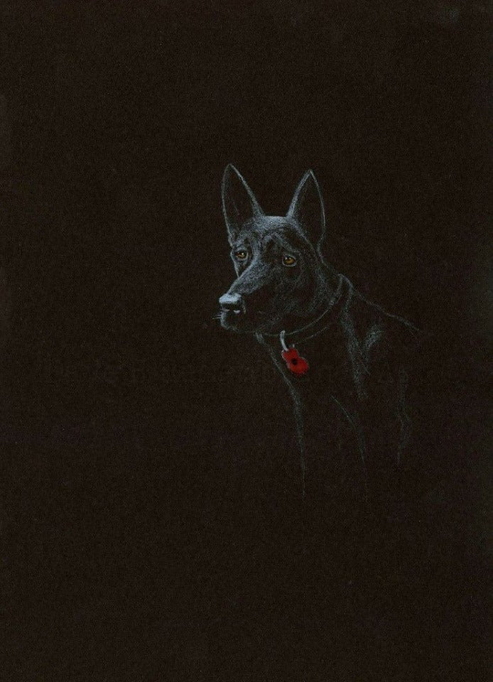 black poppy dog art