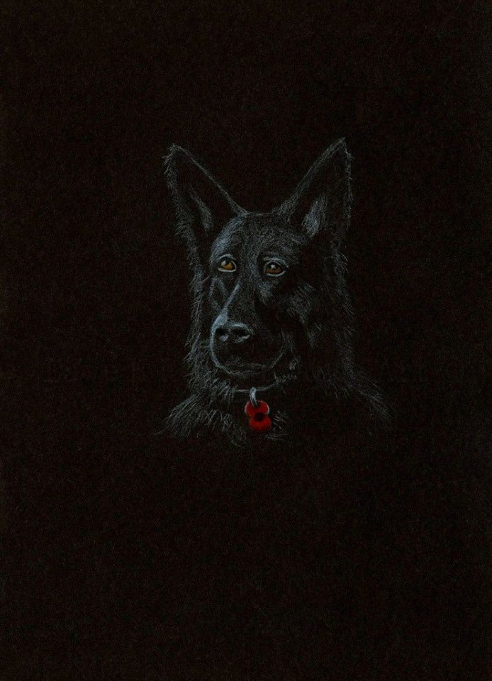 black poppy dog art