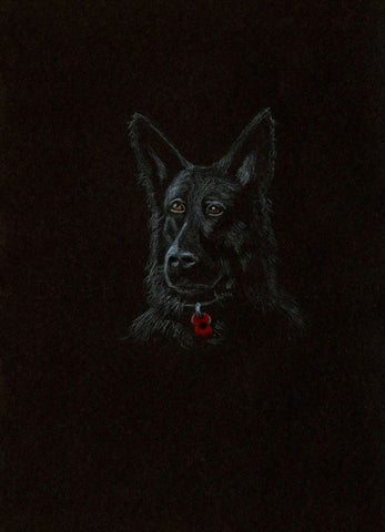 269 Limited Edition Giclée Print 269 - 'Poppy Dog #3'