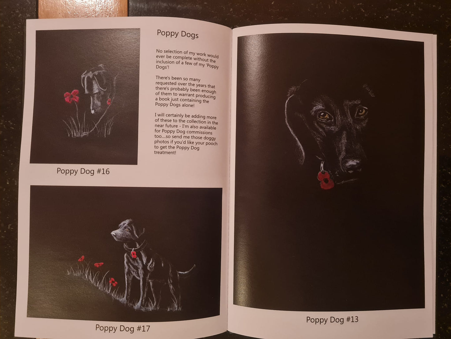 Limited Edition Art Book