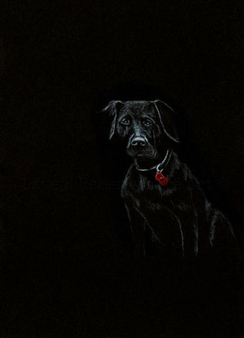 270 Limited Edition Giclée Print 270 - 'Poppy Dog #1'