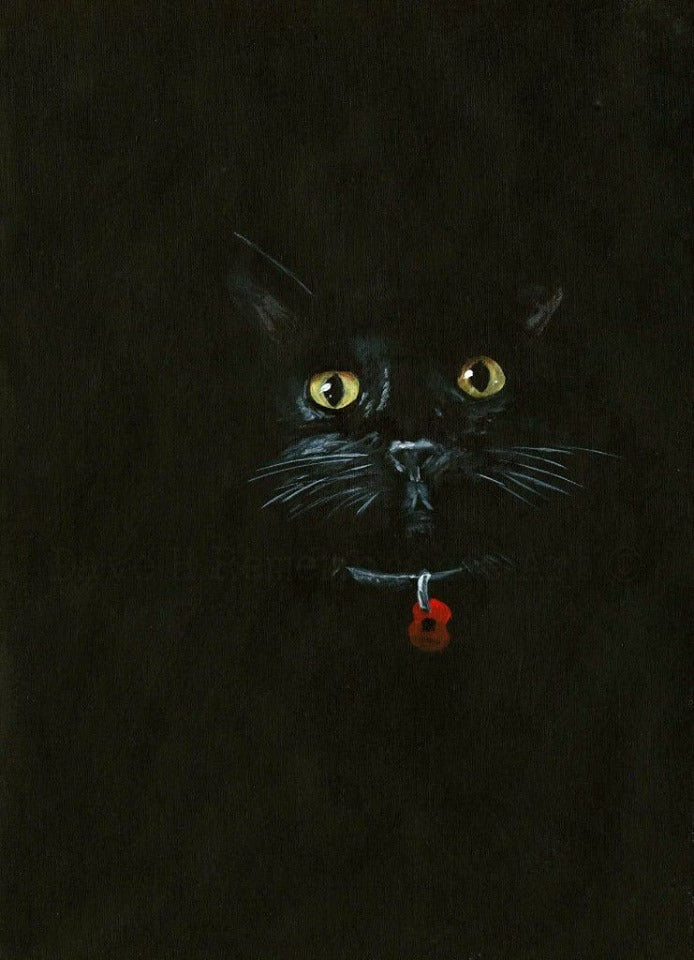 black poppy cat art