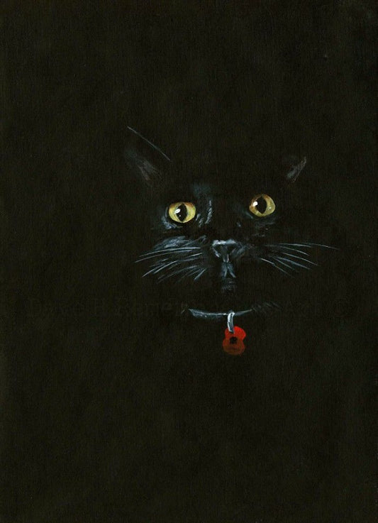 black poppy cat art