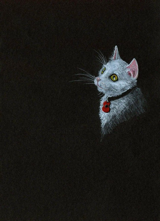 white poppy cat art