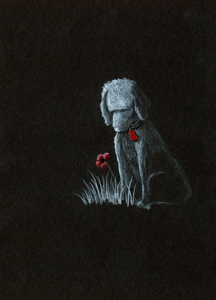 black poppy dog art
