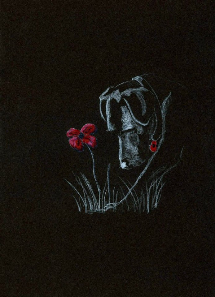 black poppy dog art