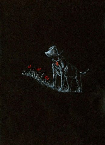 279 Original Polychromo - 'Poppy Dog #17'
