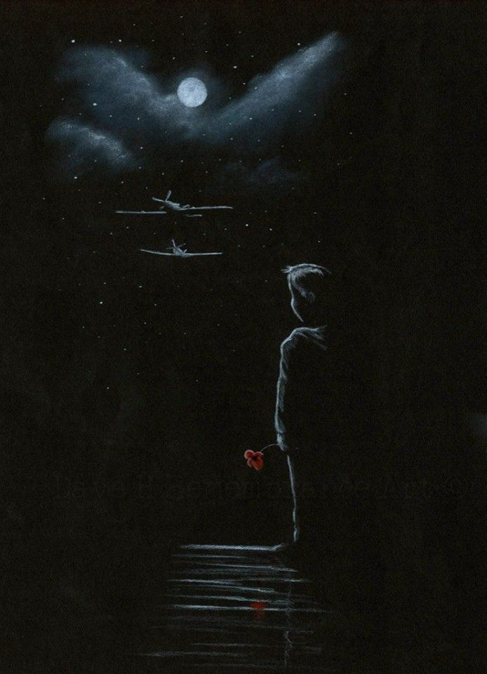 black and white poppy spitfire art