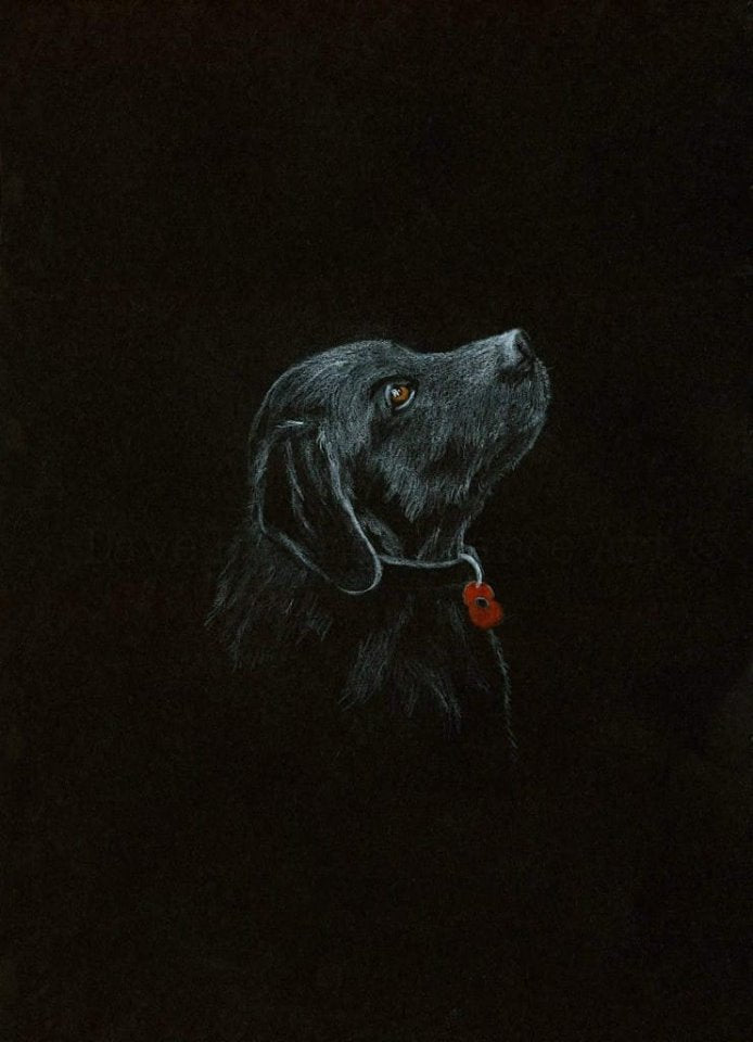 black poppy dog art