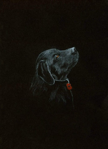 291 Original polychromo - 'Poppy Dog #18'