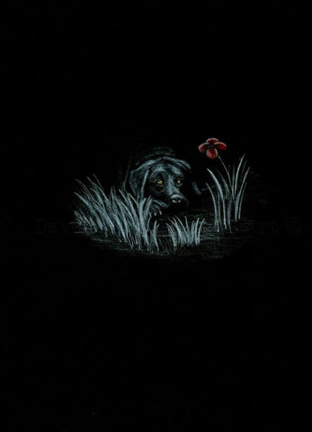299 Original Polychromo 299 - 'Poppy Dog #19'
