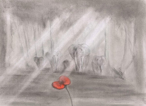 358 Limited Edition Giclée Print - 'Elephants Never Forget'