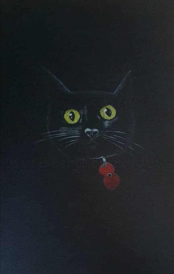 black poppy cat art