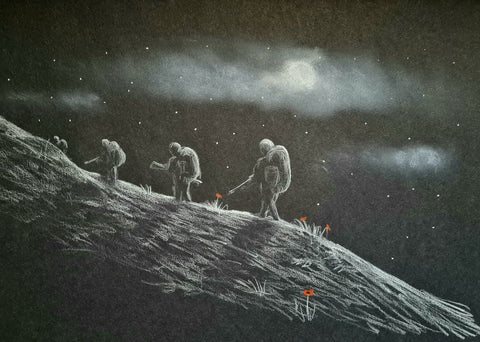 411 Original Polychromo - 'A night on the Fan'