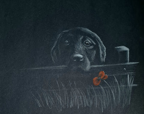 412 Original Polychromo - 'Patiently waiting'