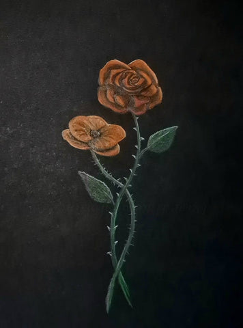 414 Original Polychromo - 'Rose Poppy'