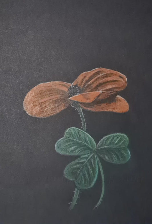 remembrance art