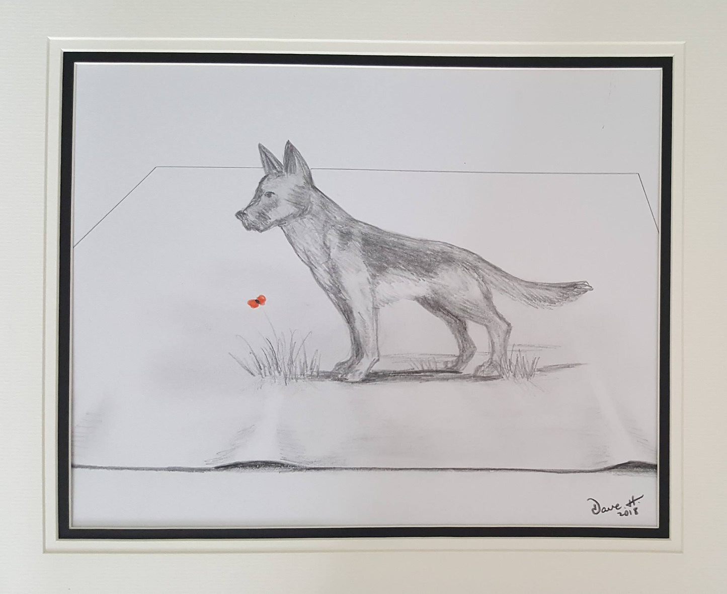 remembrance poppy art