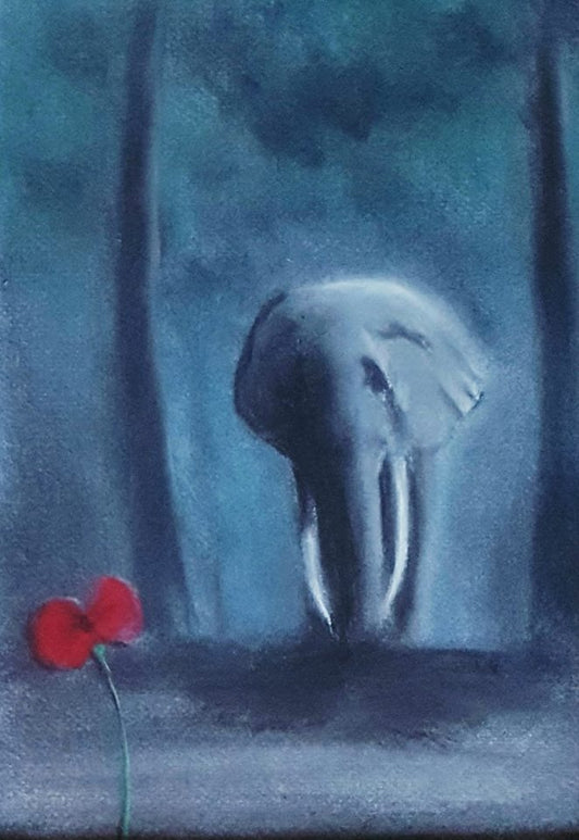Elephant poppy