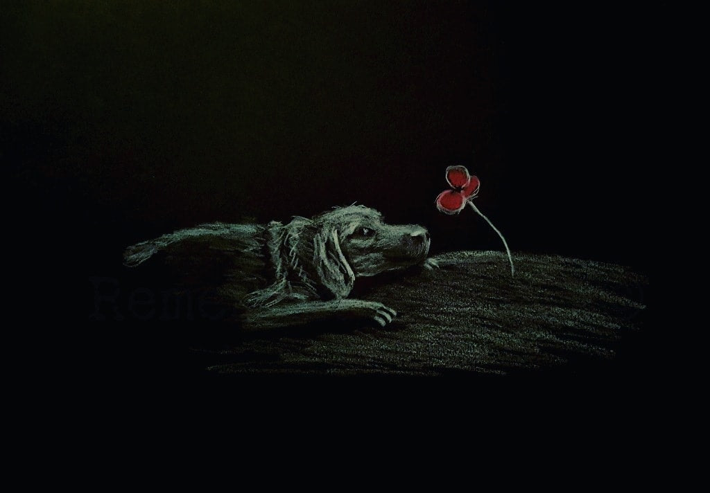 poppy dog art