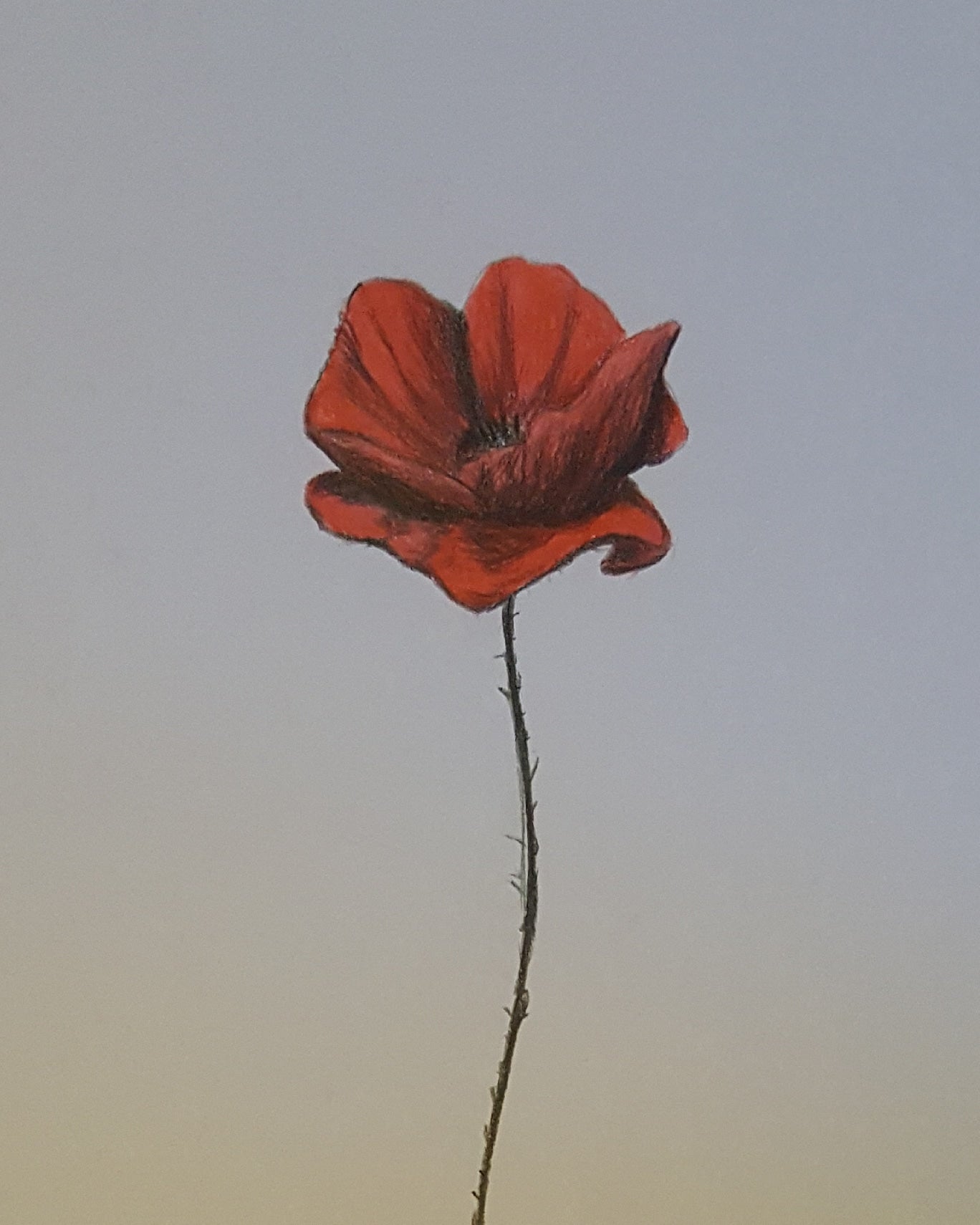 Remembrance Art 
