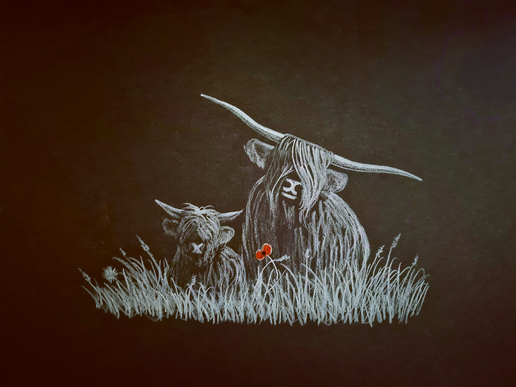 Highland coo art