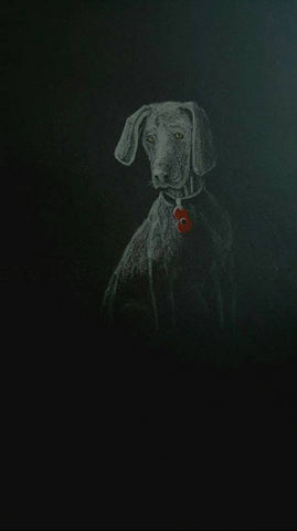 Original White on Black Polychromo -  'Poppy Dog - Finley'