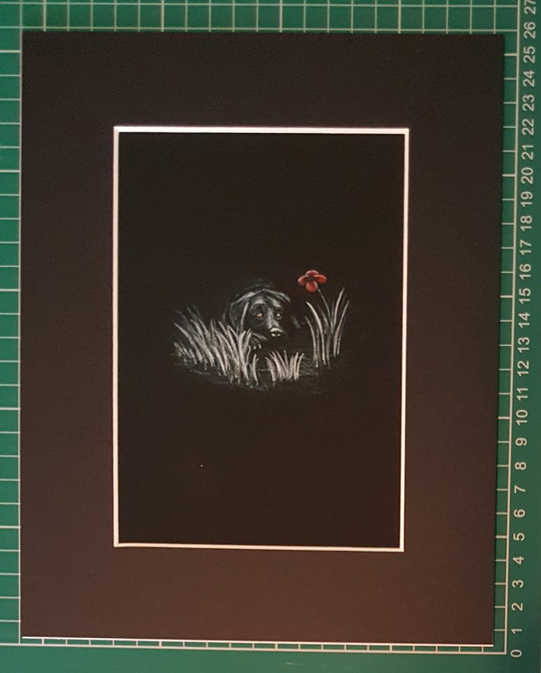 Poppy Art