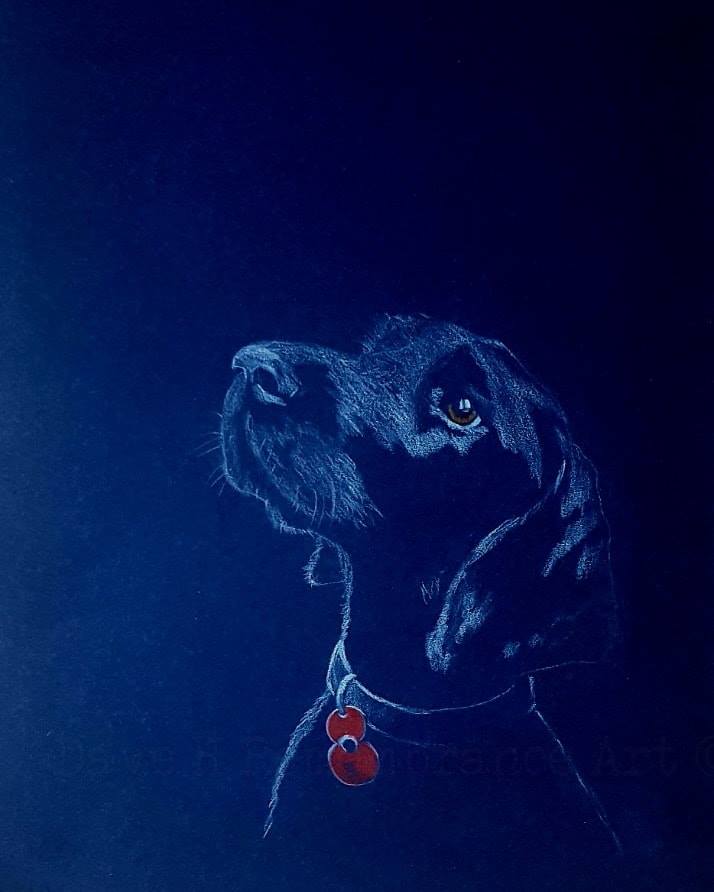 Original White on Black Polychromo -  'Poppy Dog #21'