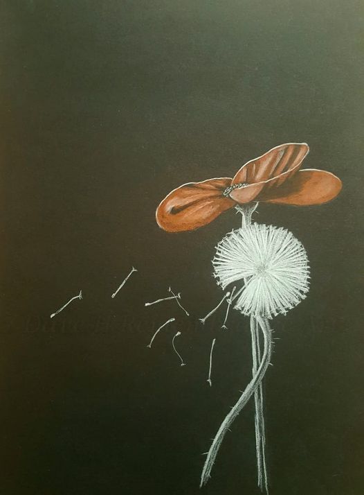 dandelion poppy remembrance art