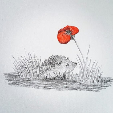 u034 Original Polychromo u034 -  'Hedgehog Poppy'