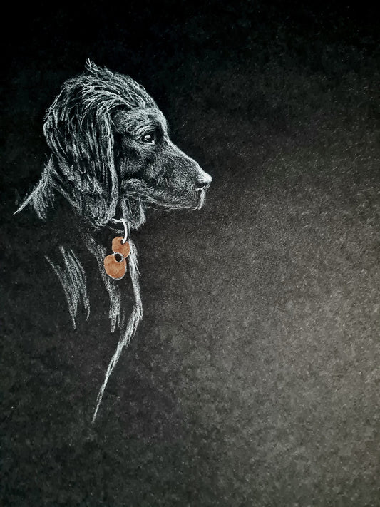 dog art