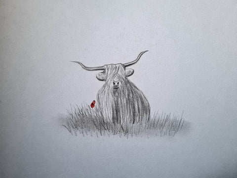 U467 Original Polychromo - 'Highland Coo #11'