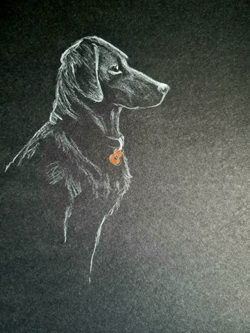 U482 Original Polychromo - 'Poppy Dog #25'